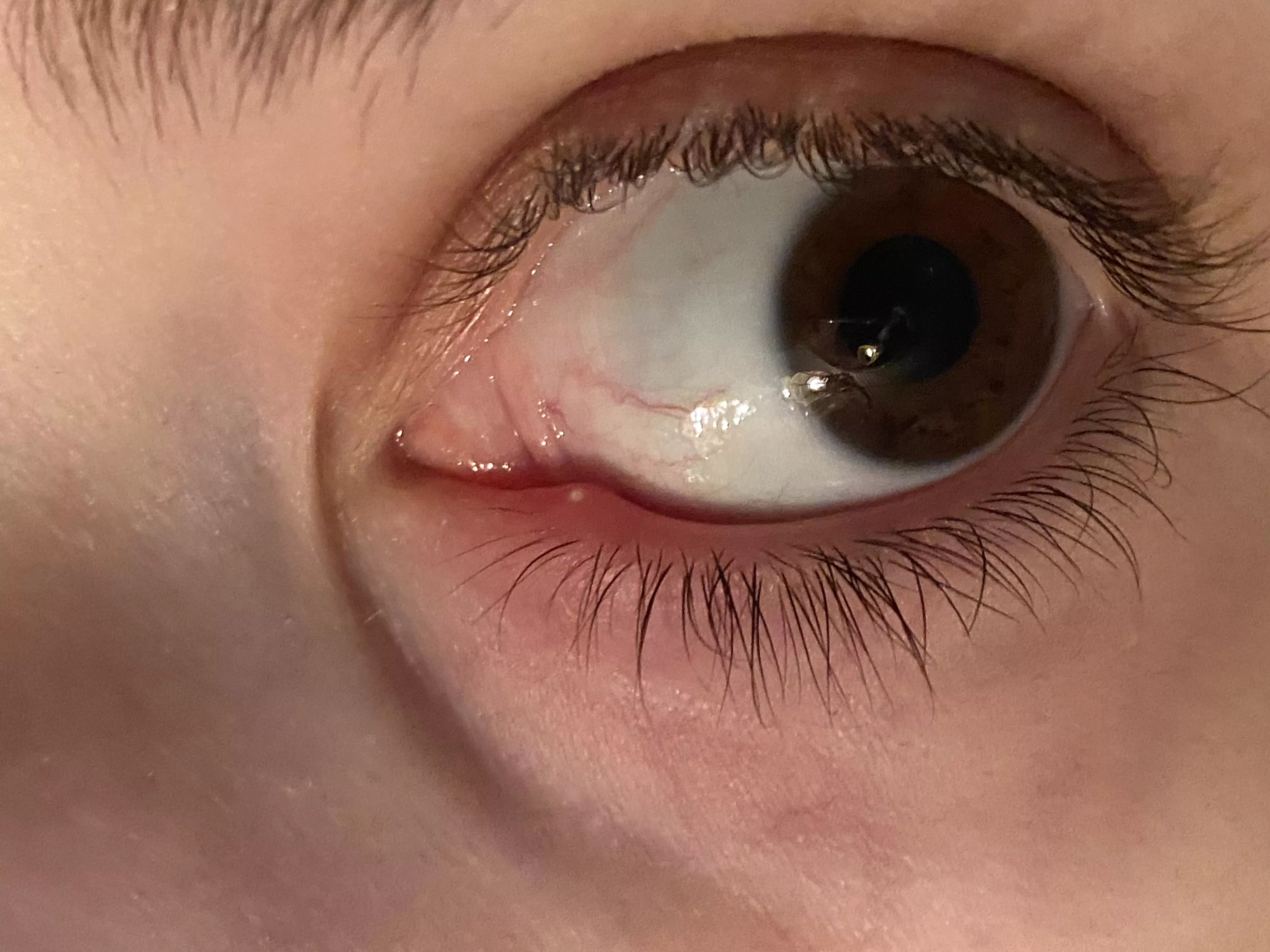 This sucker is killing me.