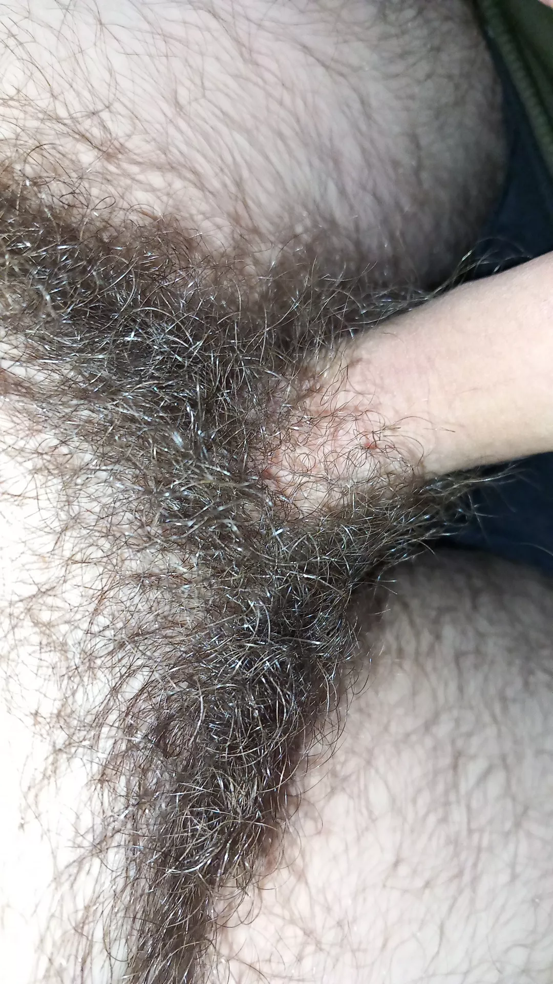 What you think about my Bush?