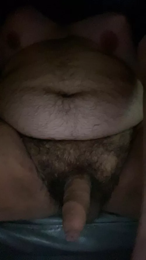 Who likes a chubby bear? (Dms open )