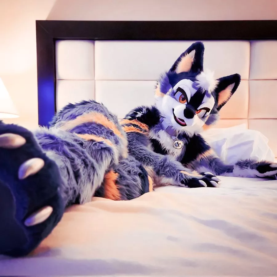 Cuddles? 😈 (@ItsNightzy on Twitter)