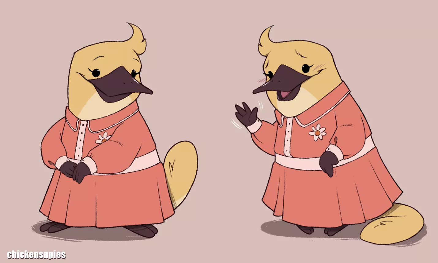 Cute lil platypus lady!