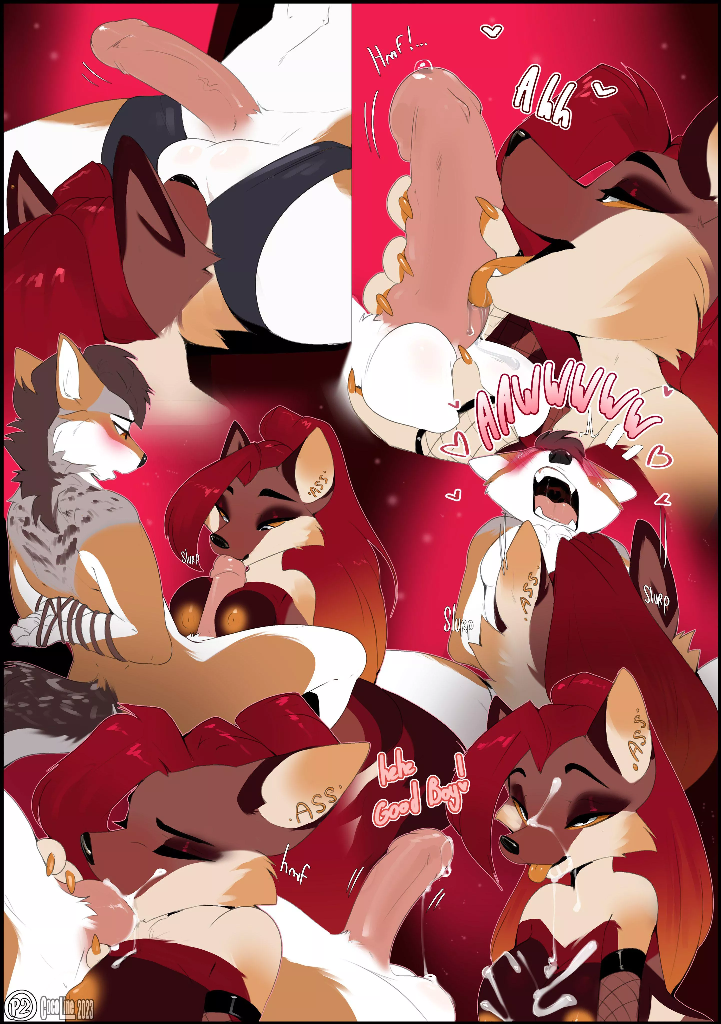 Good boy [MF] (Cocoline)