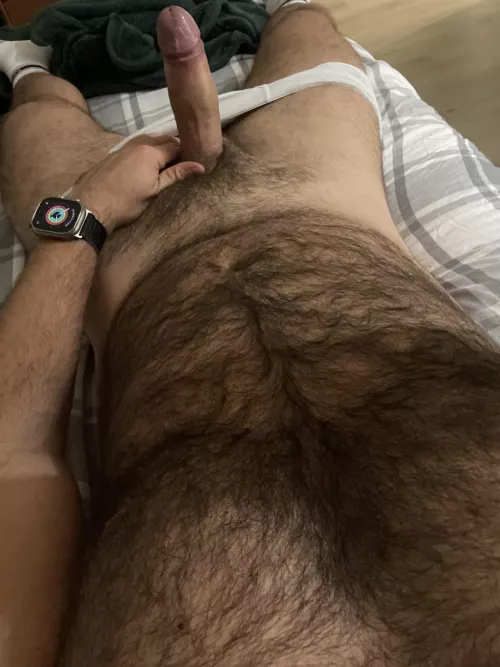 Hairy chest and cock after a chest workout ( precum included )