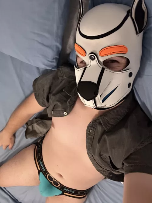 Just being a dog after a long day