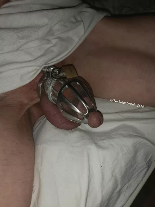 Lack of space in the Bon4m cage