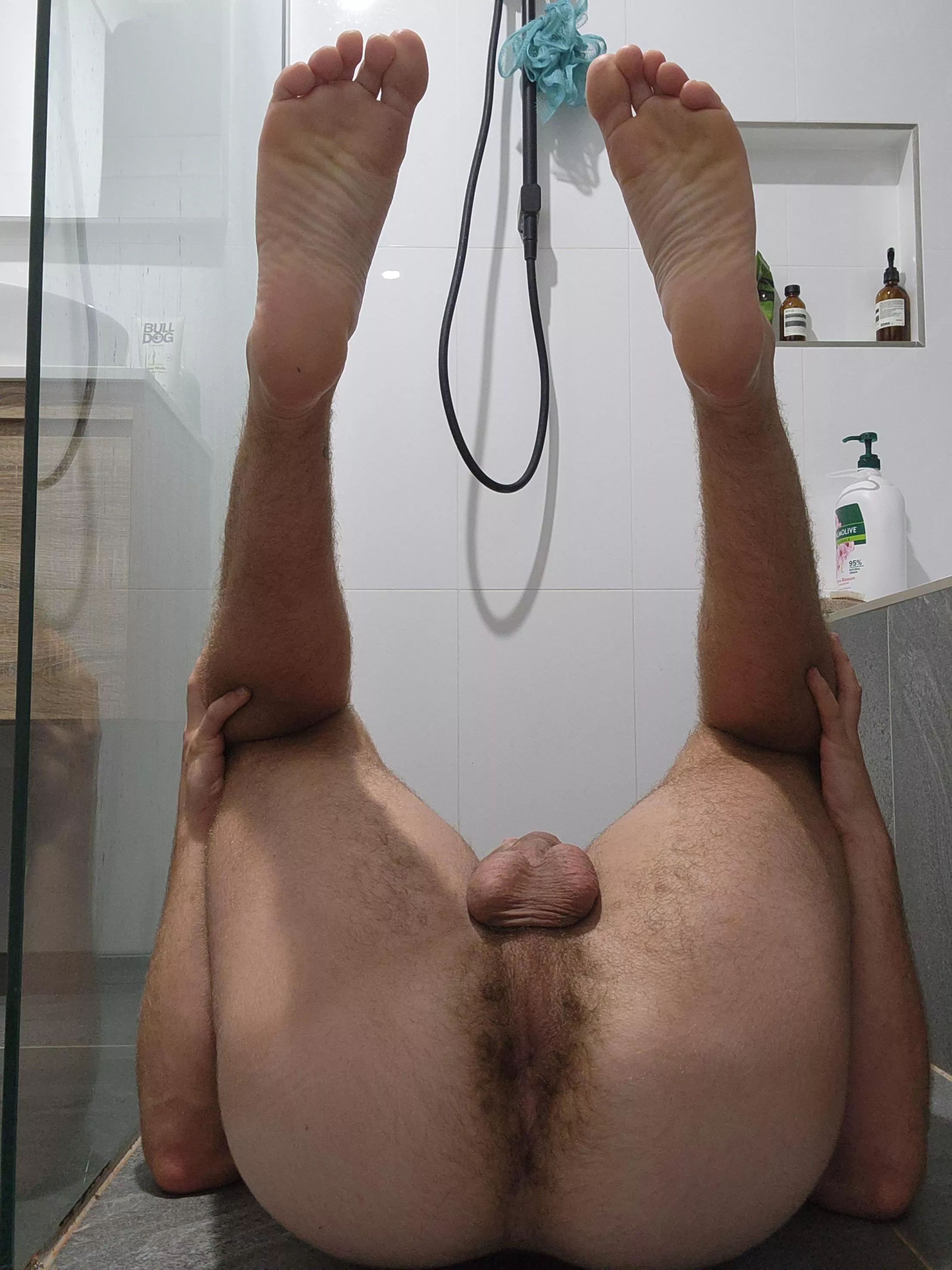 Oh no, I seem to have fallen onto my back 🫣 help?