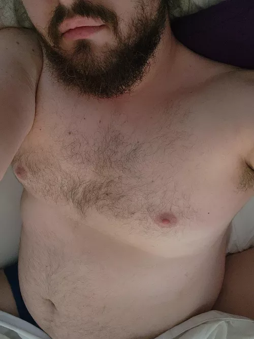 Pet my chest and belly until I'm awake 🥺 🥺