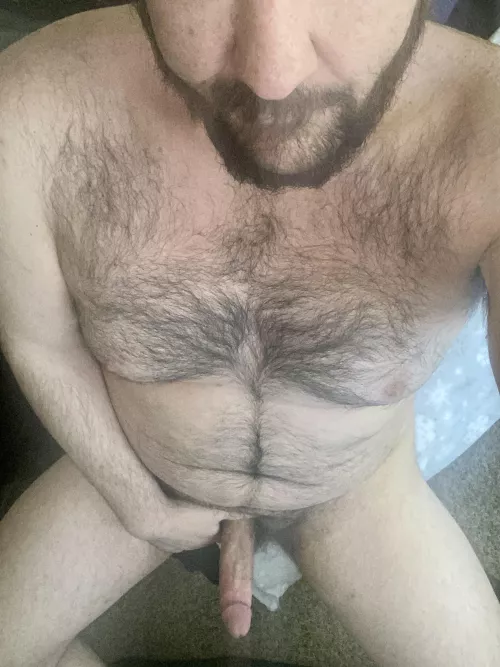 Run your hands through my chest hair as you ride me