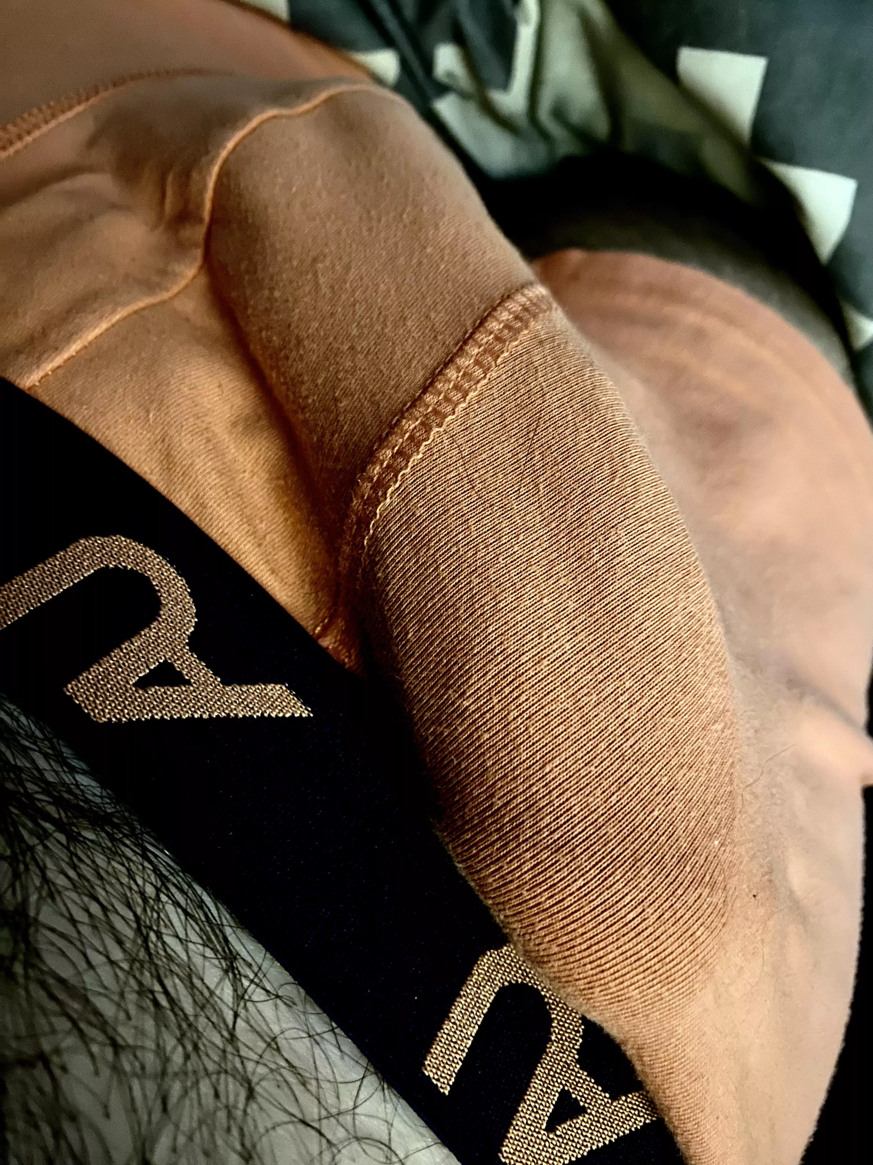 Should I let him out? (42)