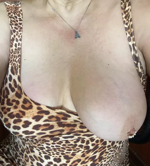 Teacher Tess Titty Tuesday!