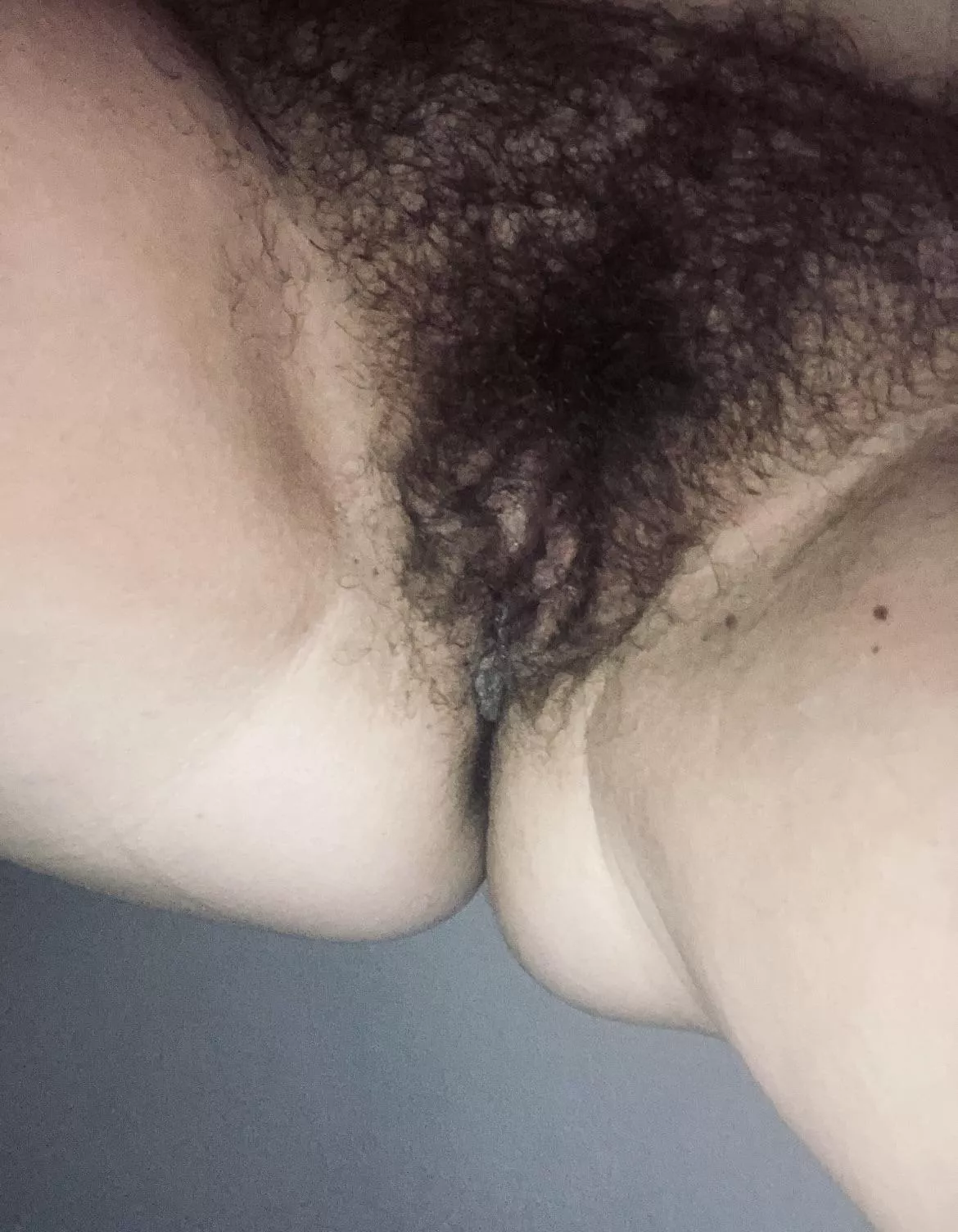 Up close and personal view