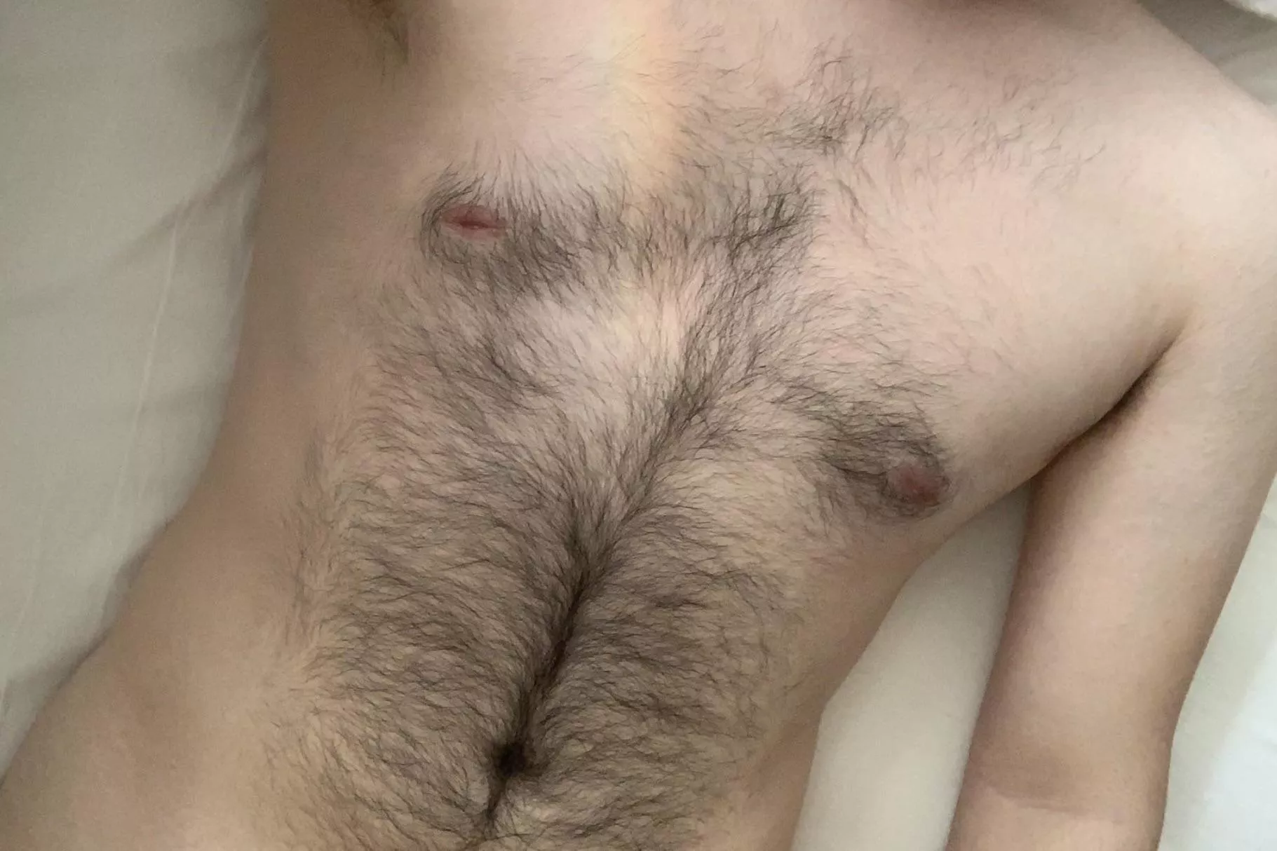 What do you think about my hairy torso? (20)