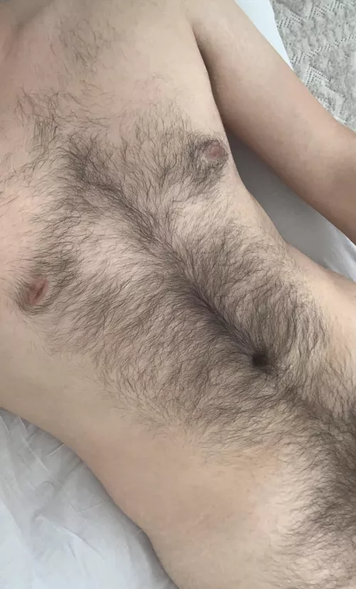 What do you think about my hairy torso? (20)