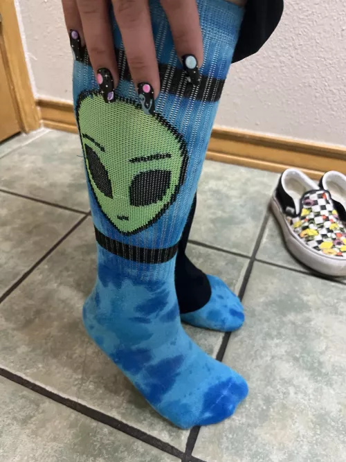 🧦