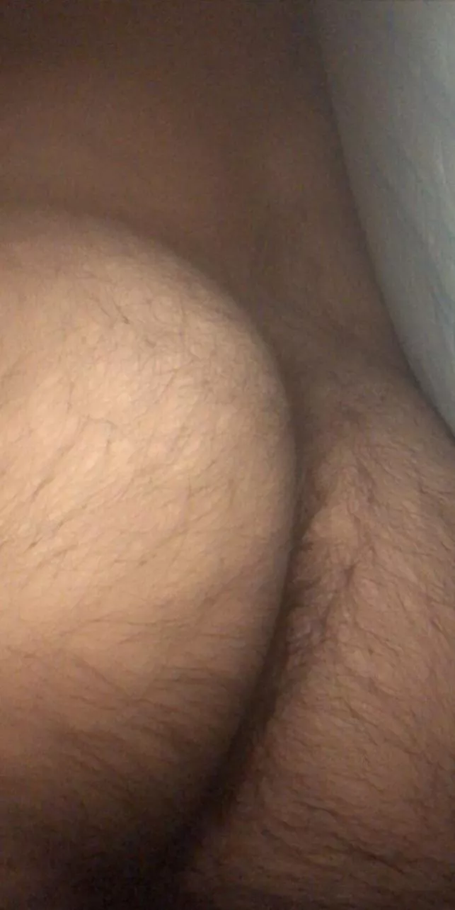 24, very hairy brown bear/cub bottom, snap me x