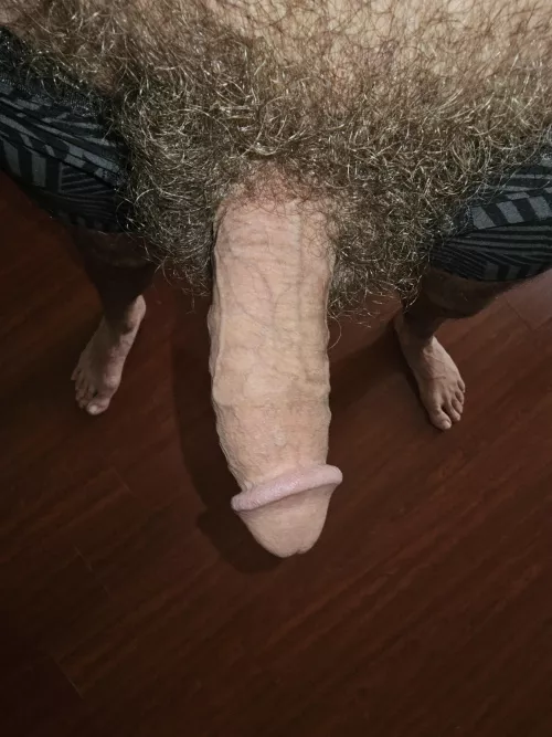 45 Anyone else love a bush