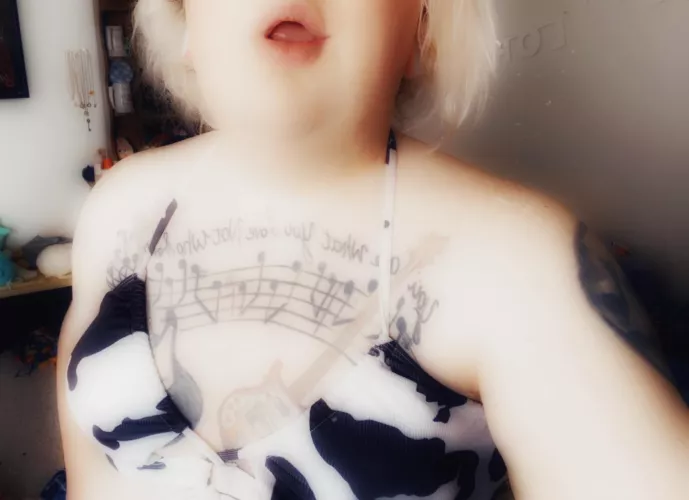 A little Monday Mootivation?