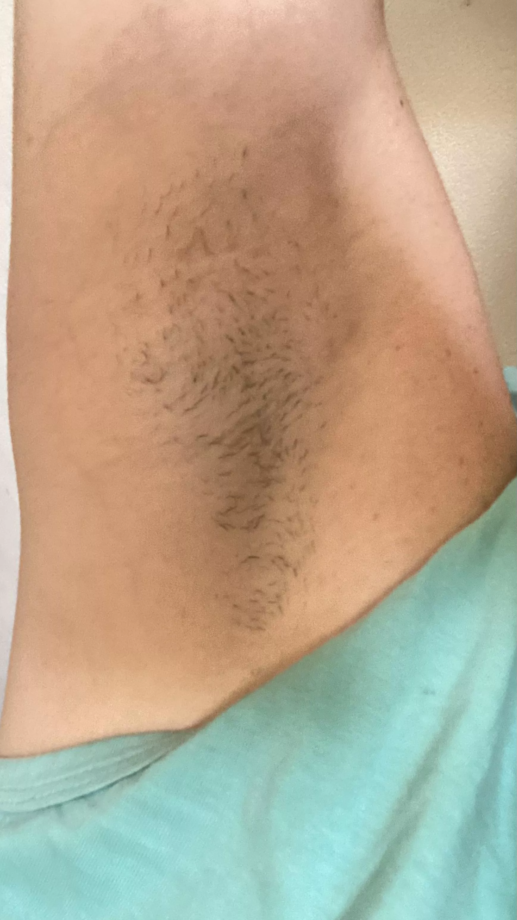 Before they go… (OC)