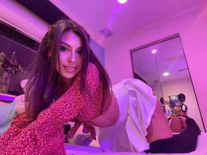 Colombian x Cuban - lilbutt