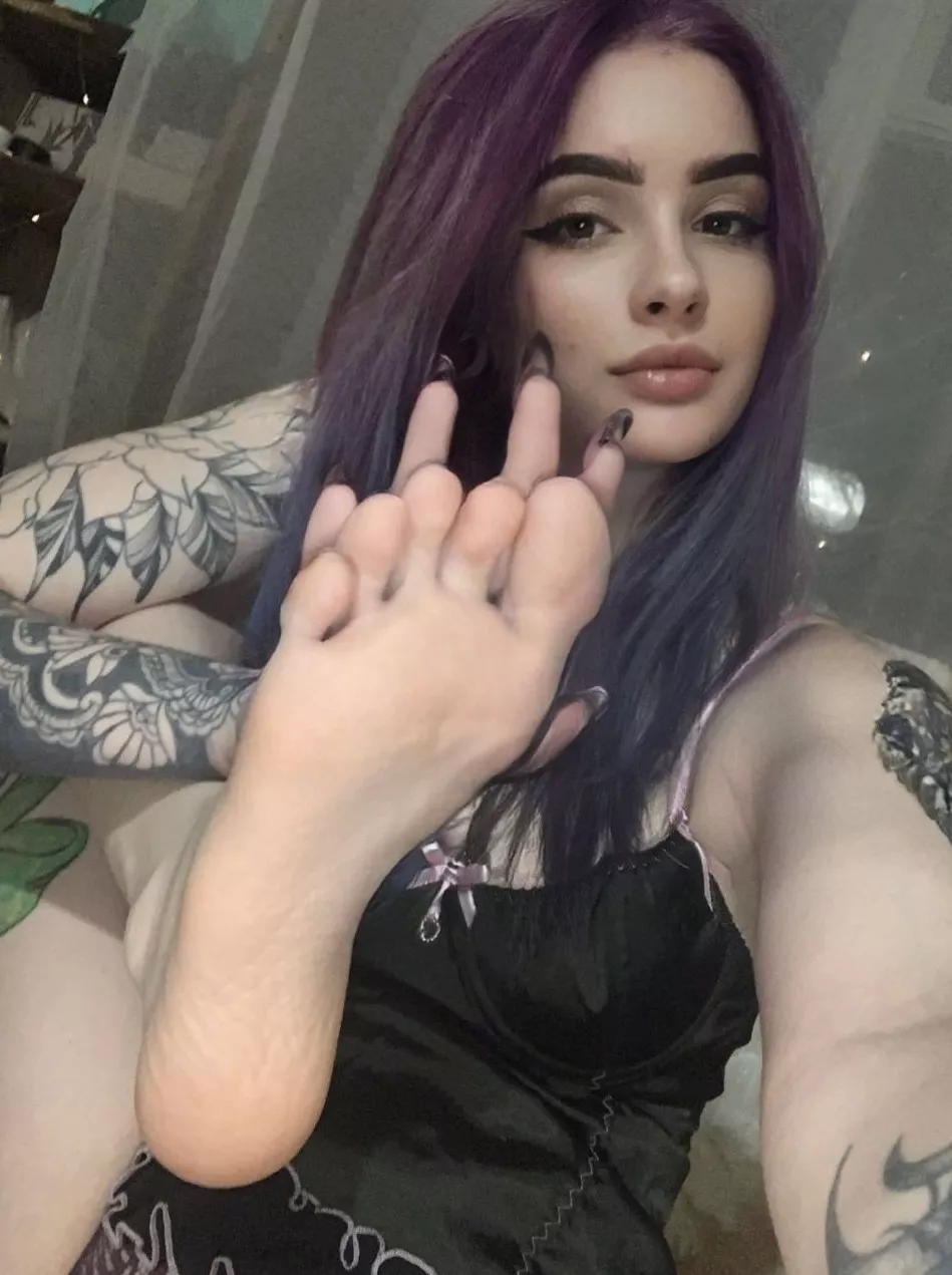 Come and feel how soft they are