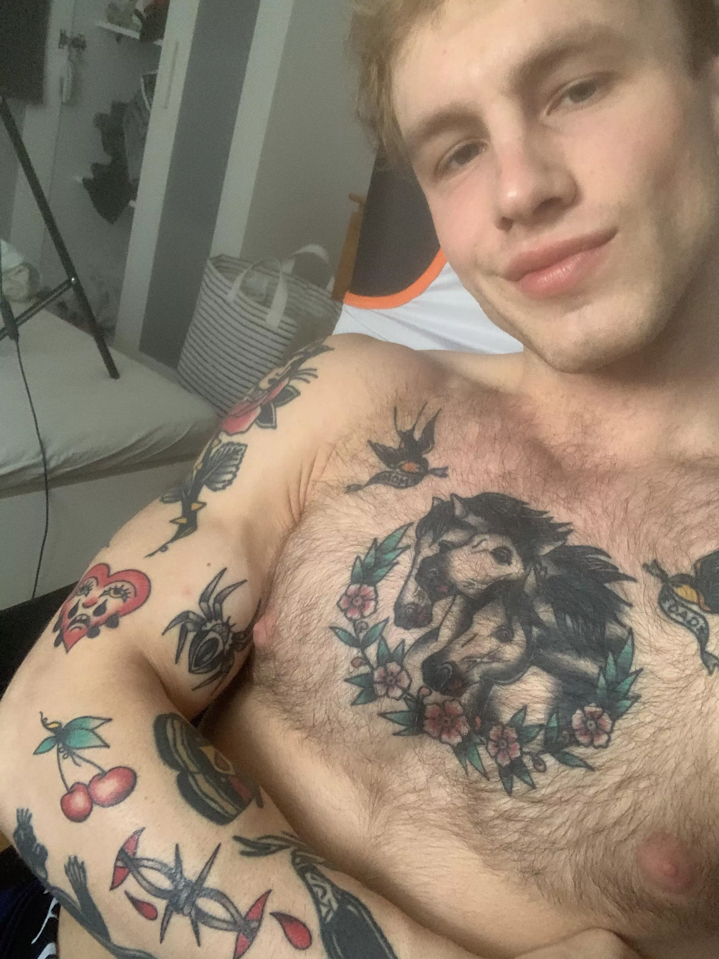 Got a few new ones recently!