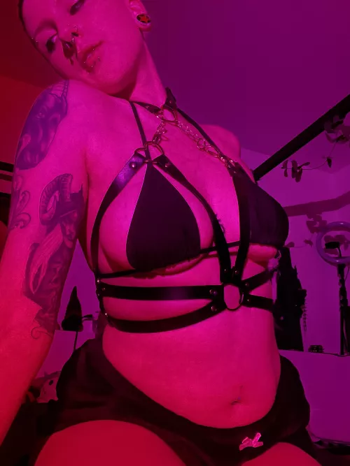 Grab my collar and take control 😈