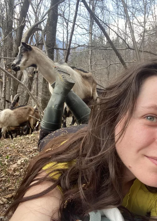 Grazing with the girls