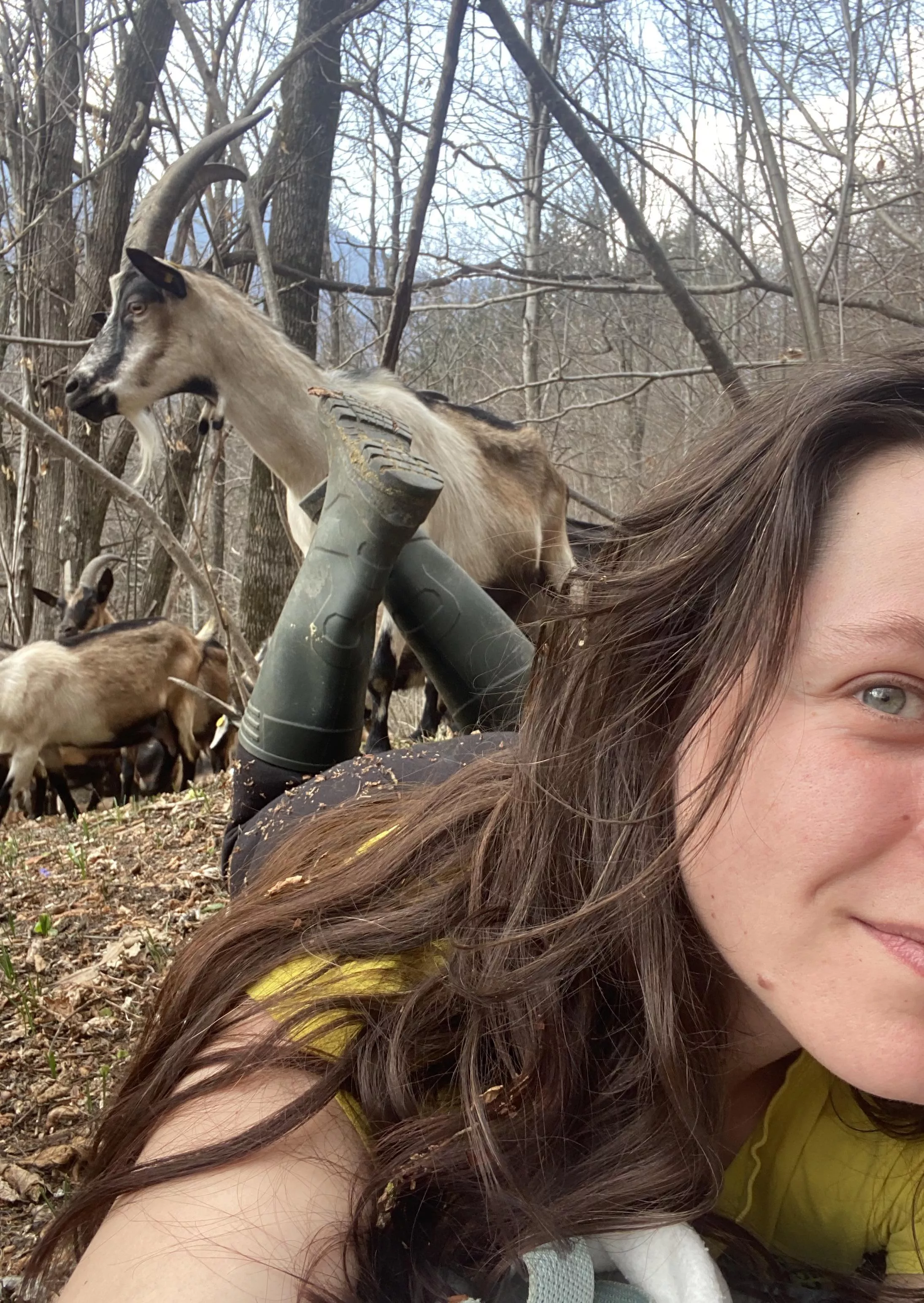 Grazing with the girls