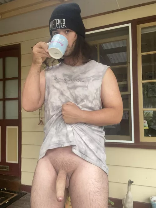 Hello Neighbours 😅