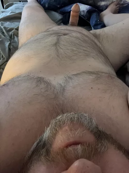 Hump day and in search of BBW