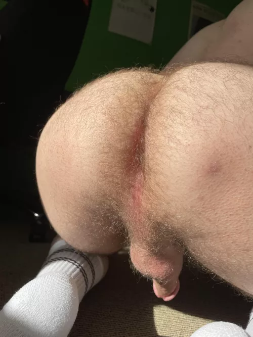 I love it when the sun hits my ass