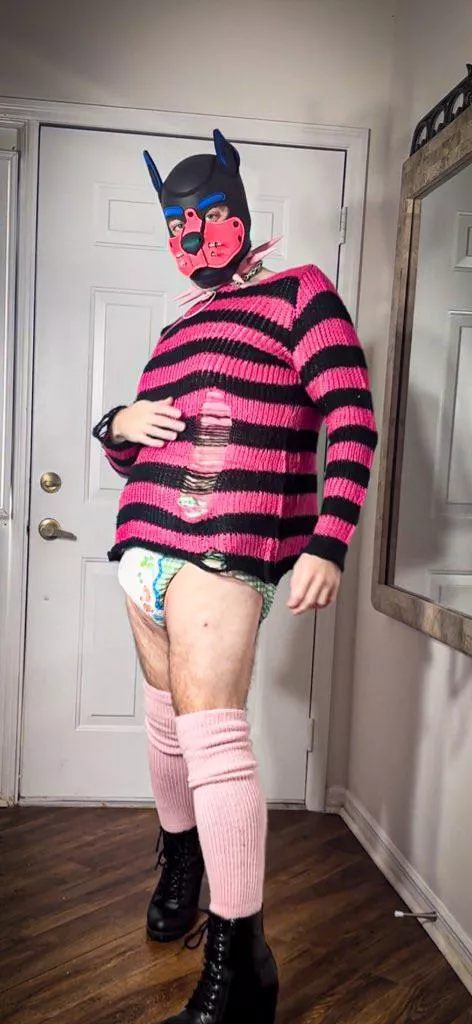 I’m a pink punk padded puppy! 🐶💙💕🔐