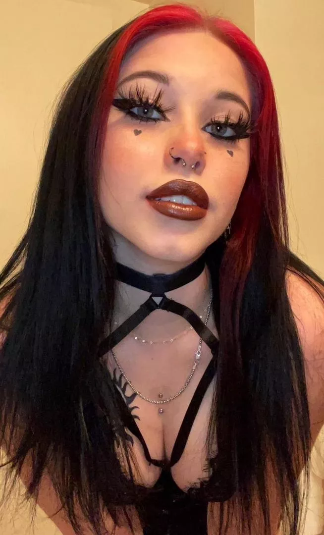 Leave a 💞 for a surprise in my dmp