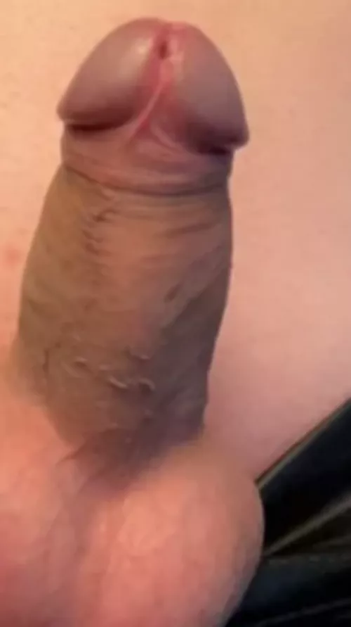 Looking to drain some balls unload down my throat