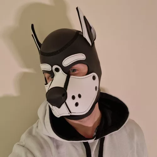 My new hood arrived!