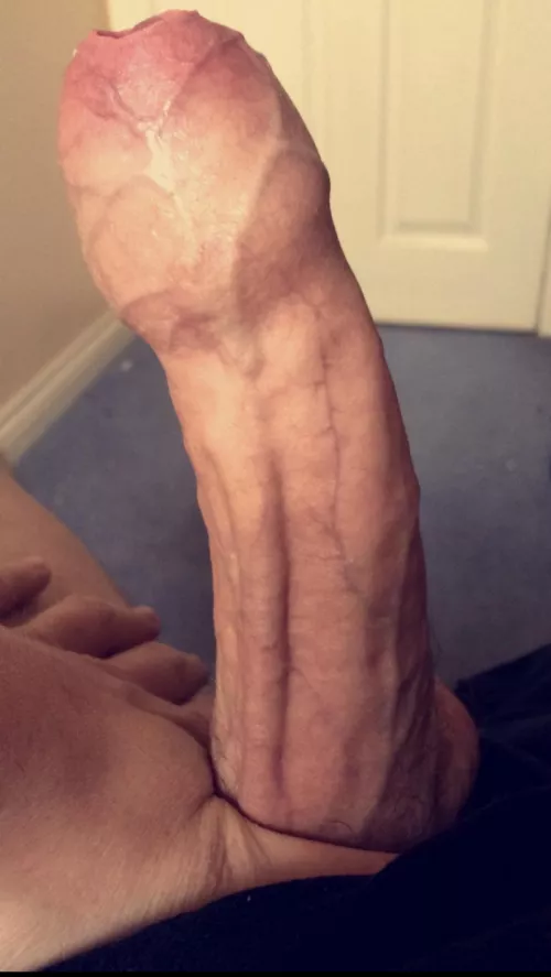 Neglected at home, this daddy dick needs some attention