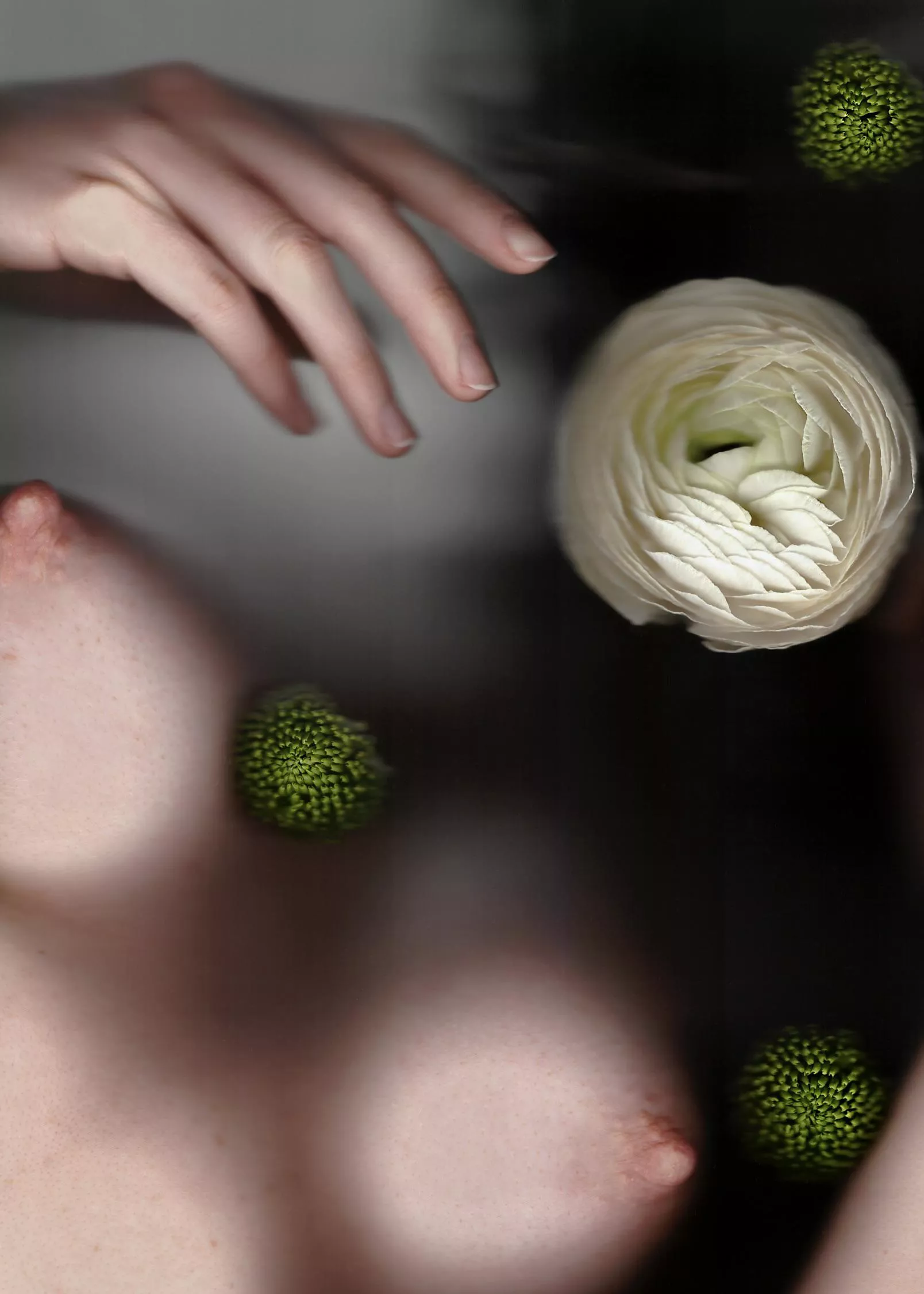 Self portrait on the glass