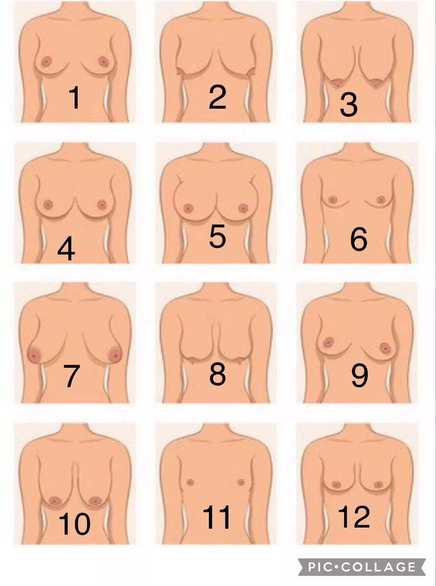 What # are they? Today I’d love to see and rate breasts!