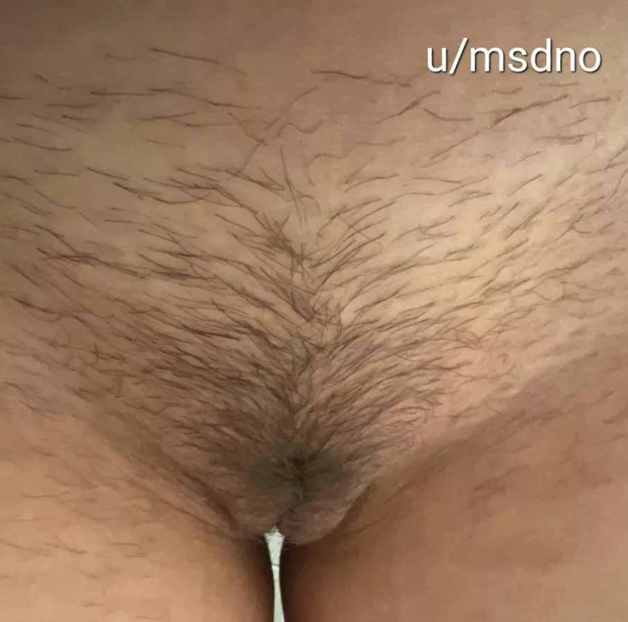 Wife's hairy pussy