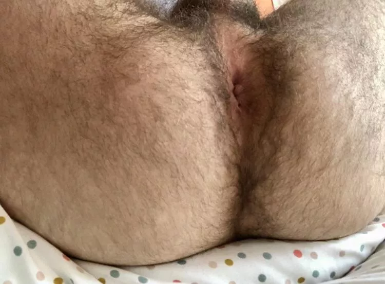 26 m usa - 6ft. 137lbs hairy bottom boy looking for coach/daddy sc: alovealot