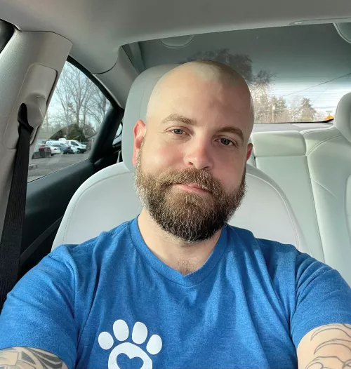 [37] The hair up top is thinning so trying the shaved head approach. Thoughts?