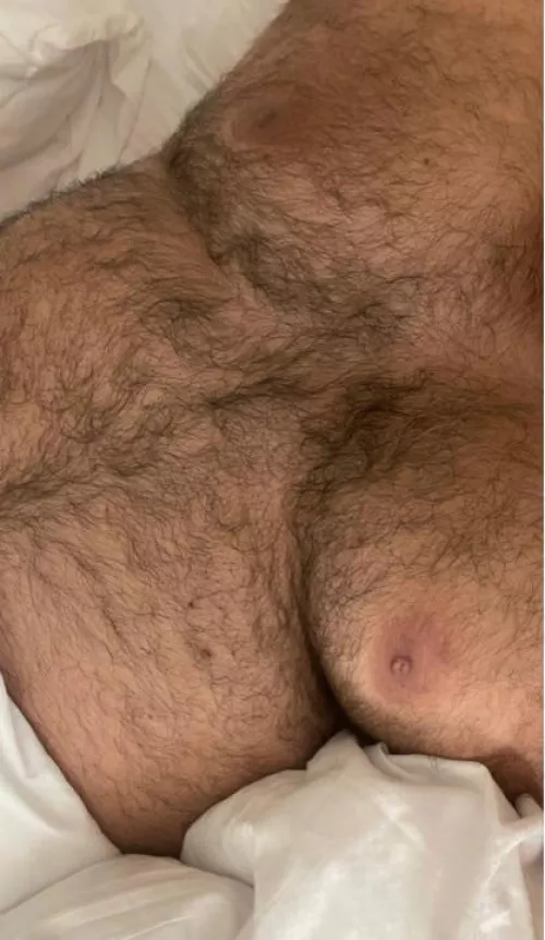 Bear or Cub hairy chest