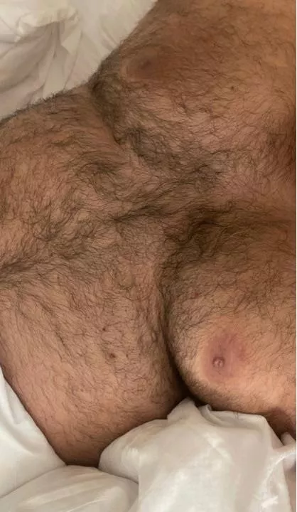 Bear or Cub hairy chest