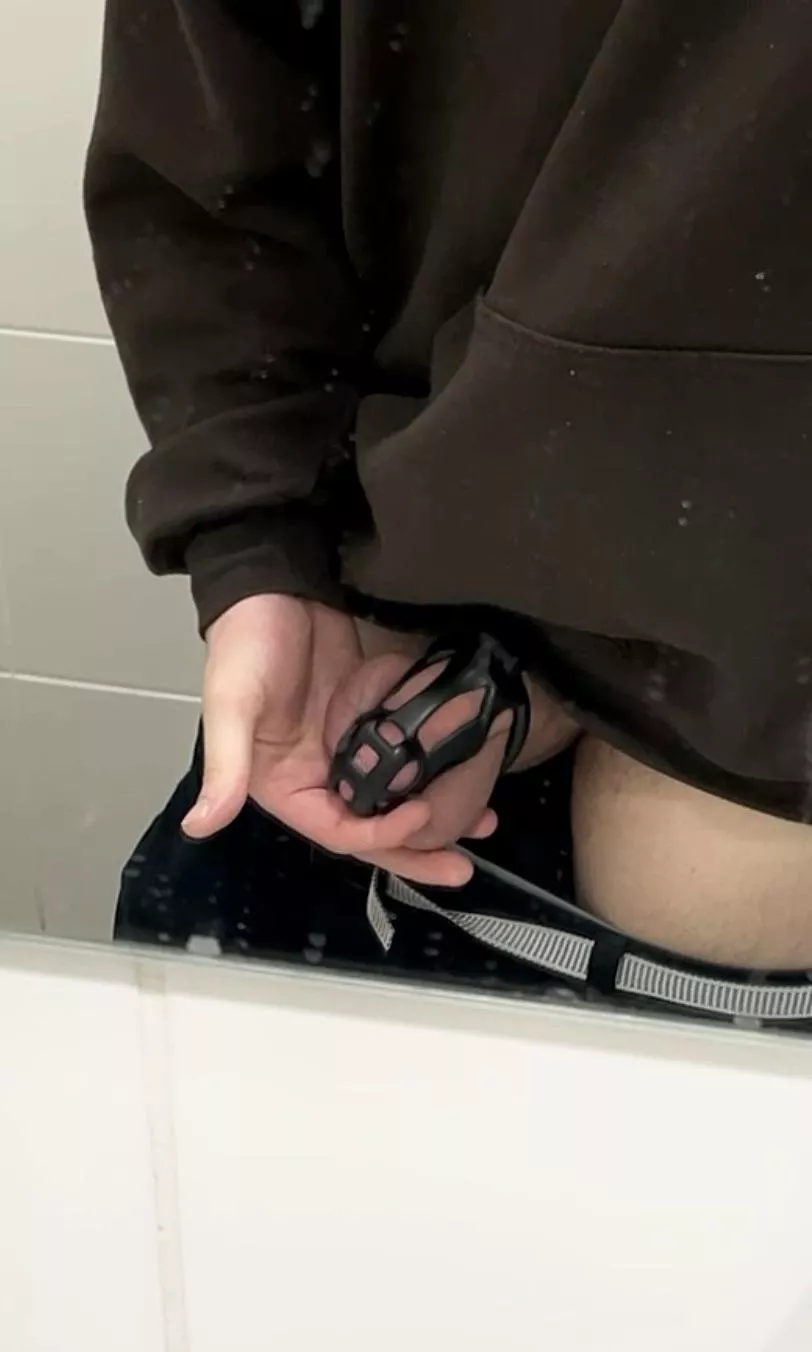 Cage check from work for my owner 🔒😏