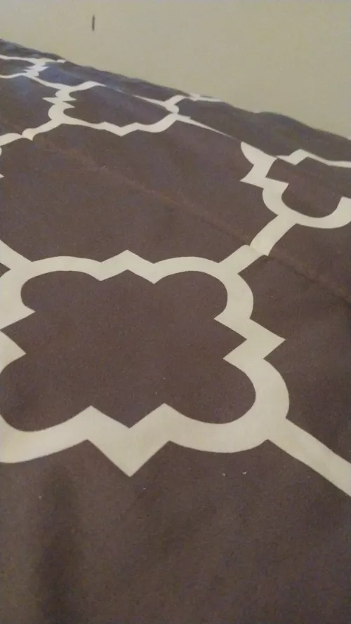 f loves bbc let's see them message me plz