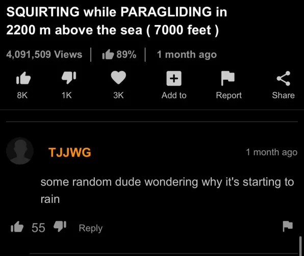 I knew I had to check the comments when I saw this gem title lmao