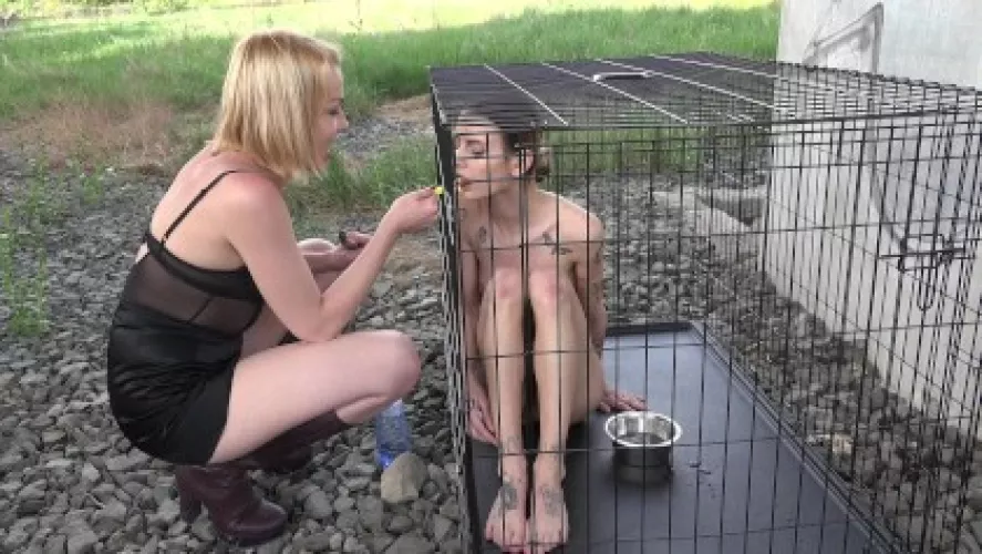 I would like to be kept in a cage in front of the house by my Mistress