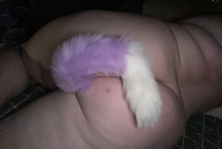 My first tail, definitely not my last.