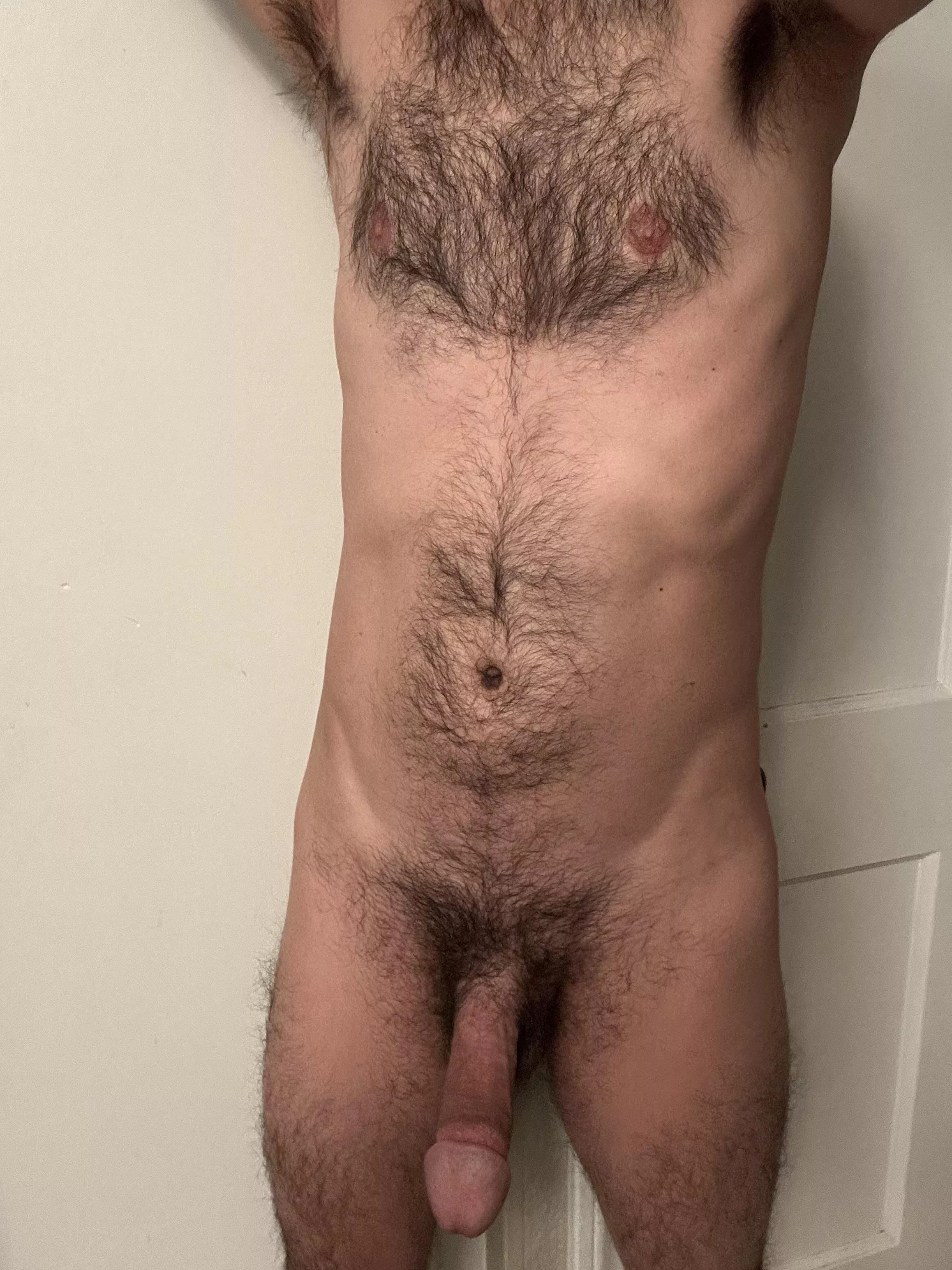 My furry body