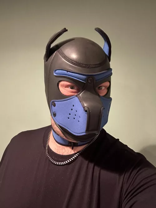 New hood, who dis’